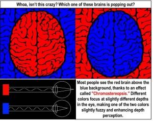 red brain blue brain